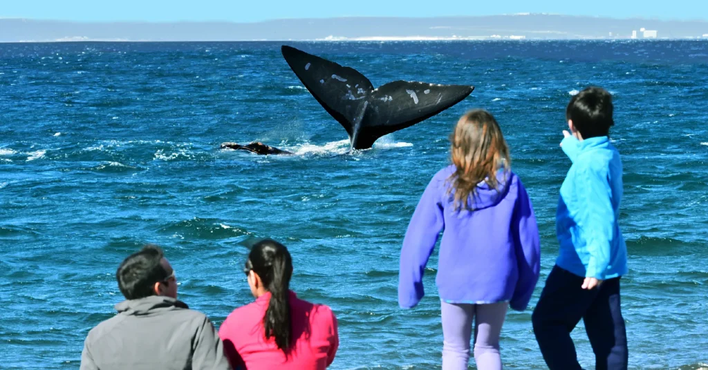 Puerto Madryn